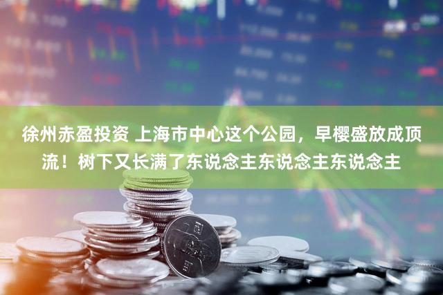 徐州赤盈投资 上海市中心这个公园，早樱盛放成顶流！树下又长满了东说念主东说念主东说念主