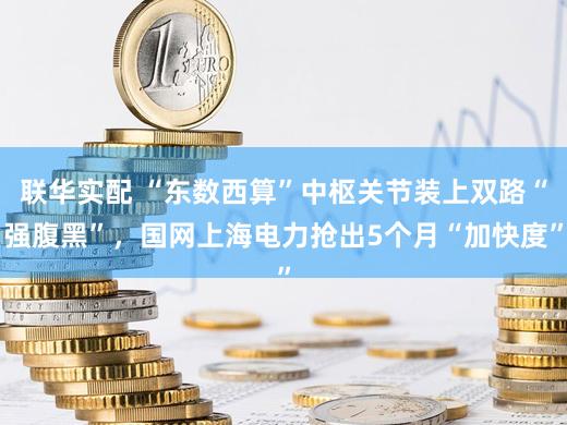 联华实配 “东数西算”中枢关节装上双路“强腹黑”，国网上海电力抢出5个月“加快度”