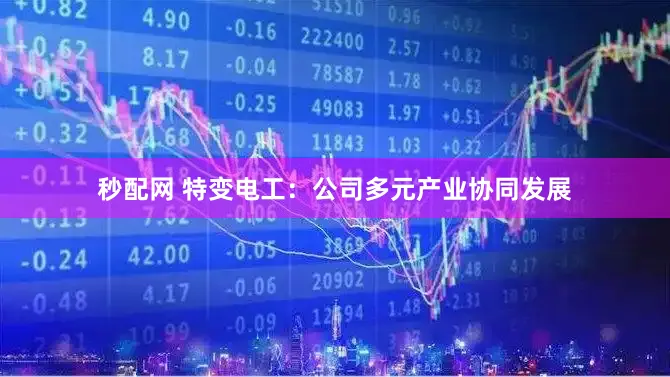 秒配网 特变电工：公司多元产业协同发展