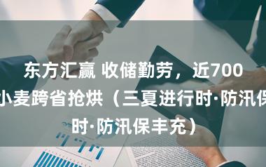 东方汇赢 收储勤劳，近7000吨湿小麦跨省抢烘（三夏进行时·防汛保丰充）