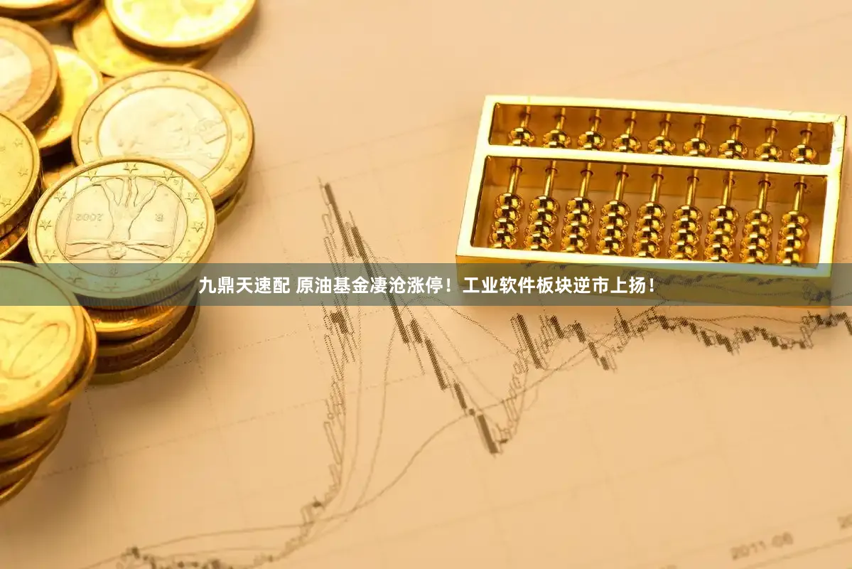 九鼎天速配 原油基金凄沧涨停！工业软件板块逆市上扬！