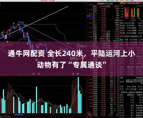 通牛网配资 全长240米，平陆运河上小动物有了“专属通谈”