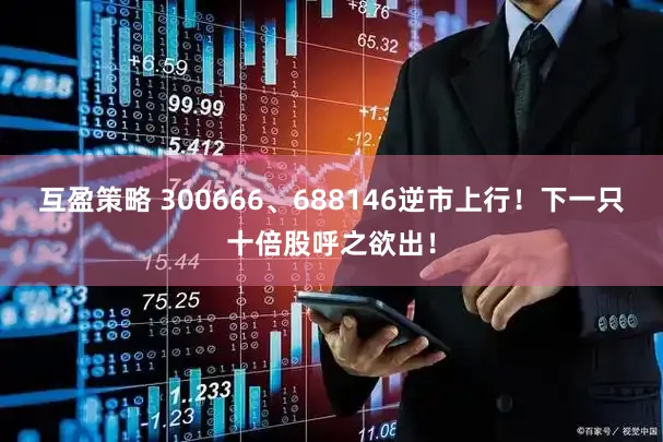 互盈策略 300666、688146逆市上行！下一只十倍股呼之欲出！