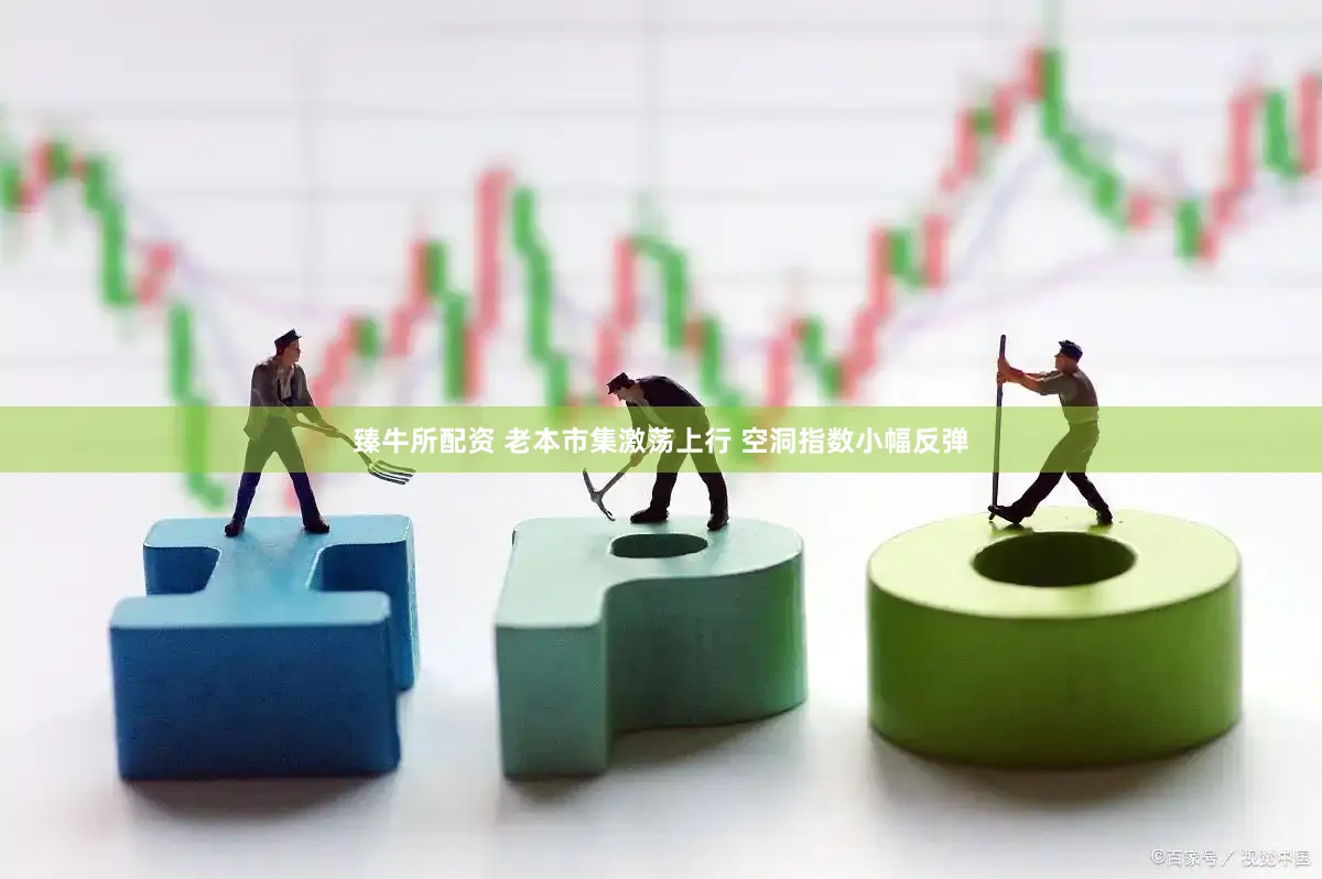 臻牛所配资 老本市集激荡上行 空洞指数小幅反弹