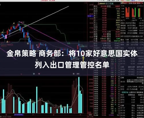 金帛策略 商务部：将10家好意思国实体列入出口管理管控名单