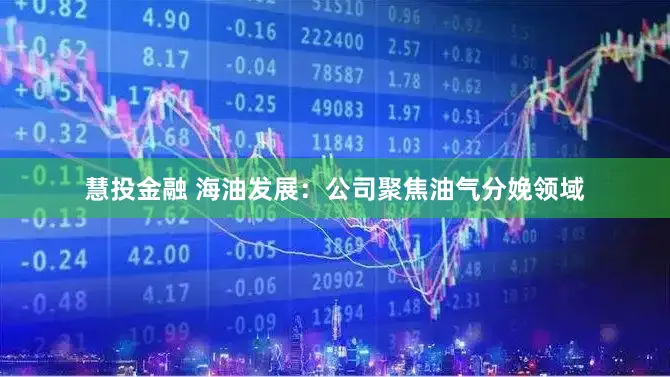 慧投金融 海油发展：公司聚焦油气分娩领域